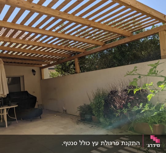 פרגולה מעץ בגינה עם צמחים מסביב